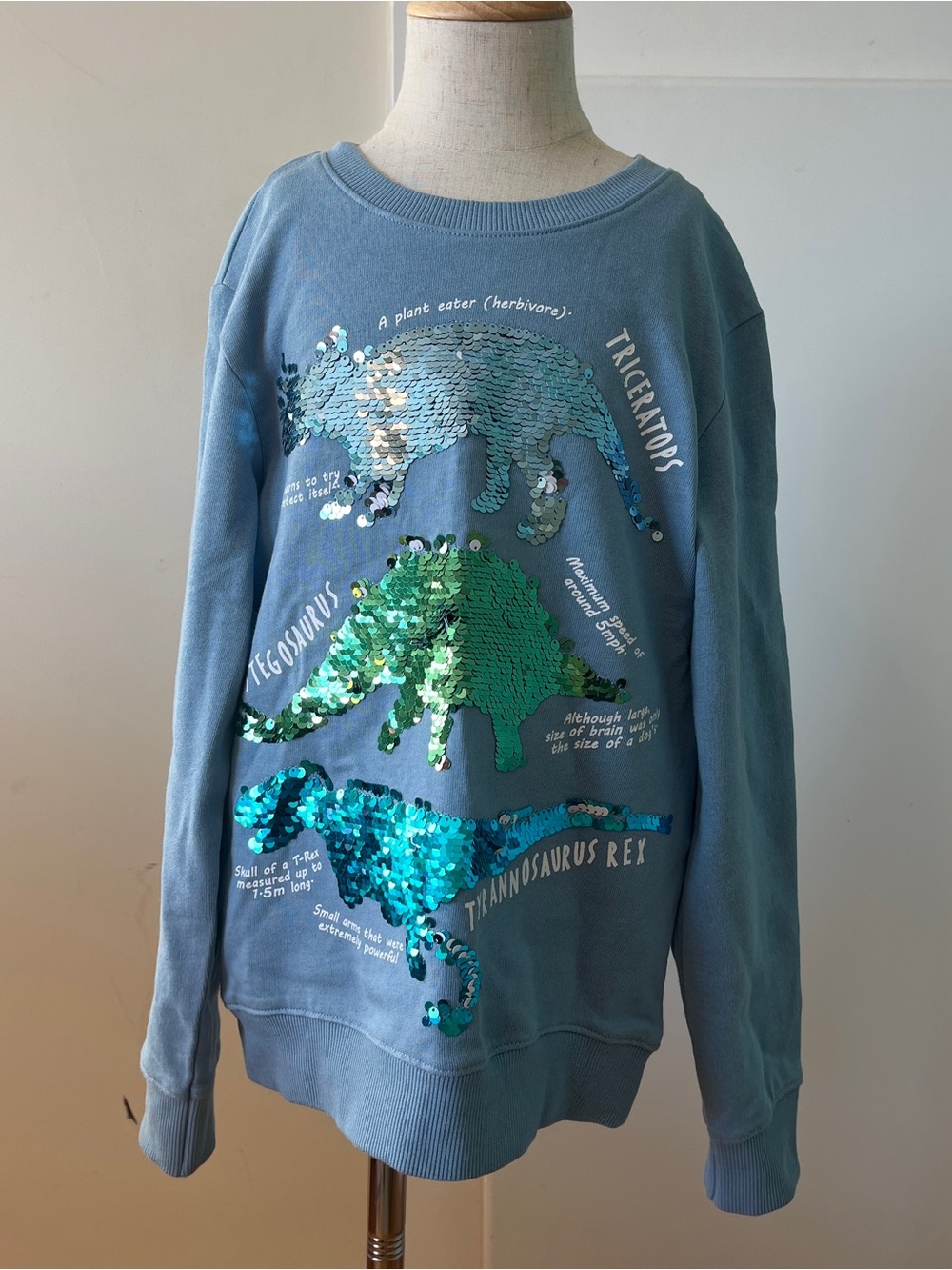H&M Light Blue Crewneck Sweatshirt Sz 6-8